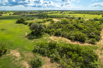 Fototapeta na wymiar Green farm land in Texas