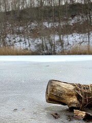 log on frozen lake