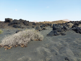 Fototapeta na wymiar volcanic terrain