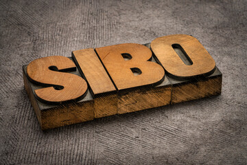 SIBO (small intestinal bacterial overgrowth) - word abstract in vintage letterpress wood type,...
