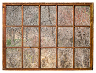 springtime tapestry of dry grass and bushes, green fresh leaves  in a  riparian forest as seen from a vintage sash window