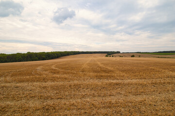 Fototapeta premium A stubble field, latter summer cloudy day. Moravia region.