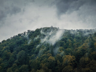 Peaceful fall scene with foggy clouds moving through the mixed forest on the top of a hill in a gloomy day. Natural autumn landscape in the woods, rainy weather with mist above the trees