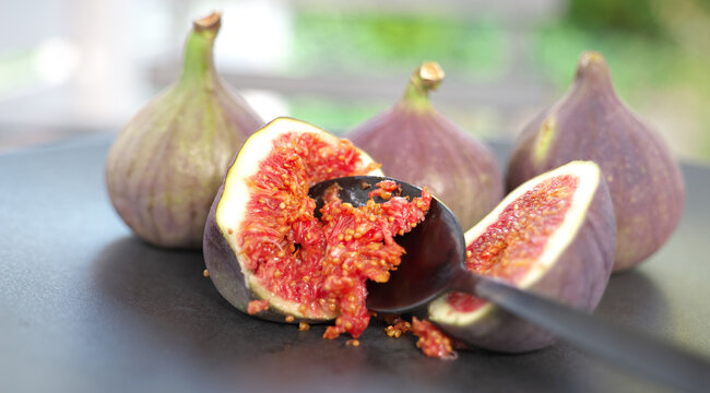 Feige, Feigen, Maulbeergew&auml;chse, Echte Feige,
Obst, Frucht, Fr&uuml;chte, Feigenbaum, Nachtisch,
