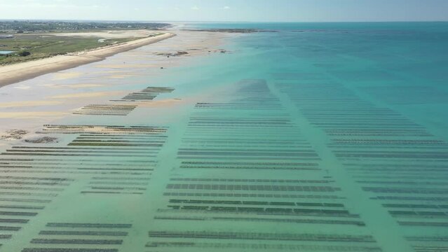 Aeial view, Gouville sur mer oyster beds in Normandy, France