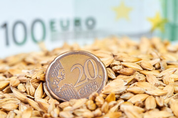 Close-up of Twenty cent euro coin in barley grains on the background of one hundred euro bill