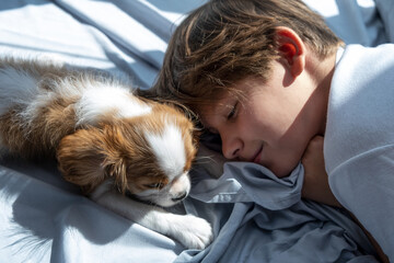Boy with a dog in an embrace lies in bed in morning. Sleep with pets. cute puppy cavalier king...