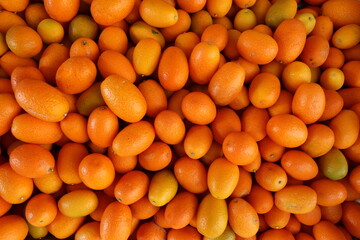 Group of kumquats , the edible fruit closely resembles the orange in color and shape but is much...