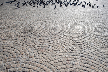 Cobblestone public plaza with pigeons, peace birds, copy space