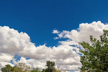 Cumulus clouds with clear blue sky and green trees