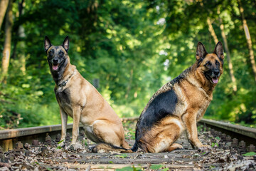 Duo