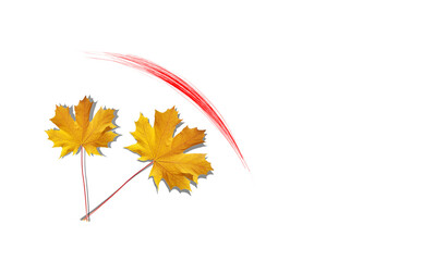 autumn time leaves yellow dry like clock pointers text and round curve line isolated for seasonal background - 3d rendering