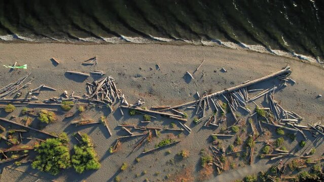 Drone Top View of Beach with Driftwood