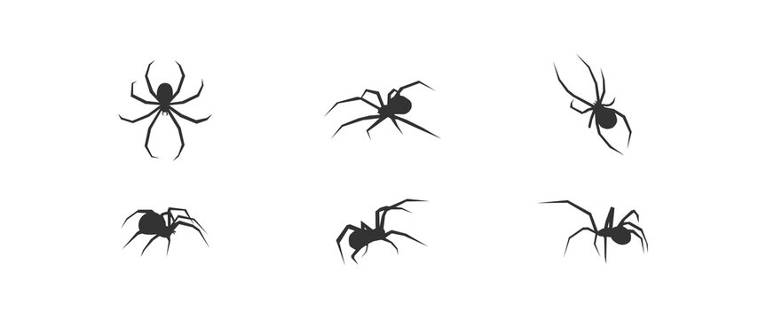 Halloween spider set icons. Silhouette of black insect icon. Vector holiday october poster, flat horror