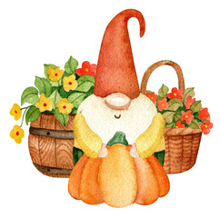 Scandinavian gnome and autumn harvest. Watercolor hand drawn - 530400963