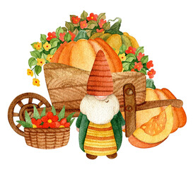 Scandinavian gnome and autumn harvest. Watercolor hand drawn - 530400981