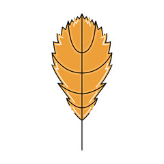 Isolated colored autumn leaf icon Vector