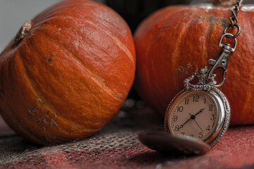 Vintage retro pocket watch with long chain near autumn orange holliday pumpkins on a checkered...