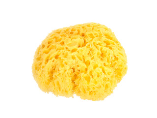 Round yellow natural sponge isolated transparent png