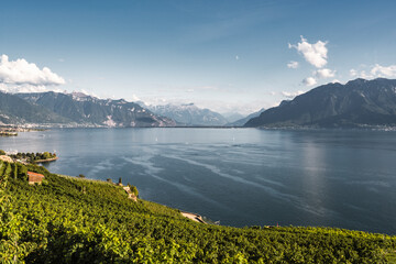 vue depuis le vignoble de Lavaux sur le lac L&eacute;man et les Alpes
