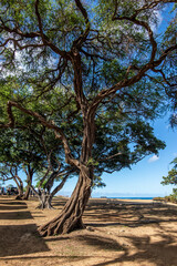 overlook on Pacific Ocean from scenic Electric Beach, on the west coast of Oahu Island, Hawaii.