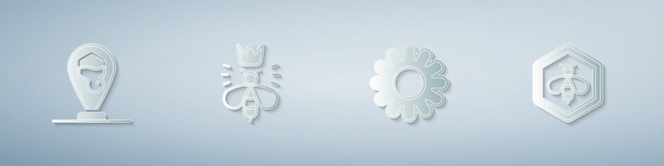 Set Honeycomb bee location, Queen, Flower and Bee and honeycomb. Paper art style. Vector