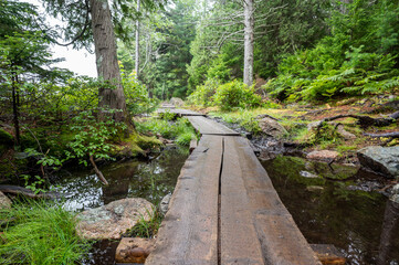 Elevated boardwalk path along western edge of Jordan Pond in Acadia National Park, Maine, USA