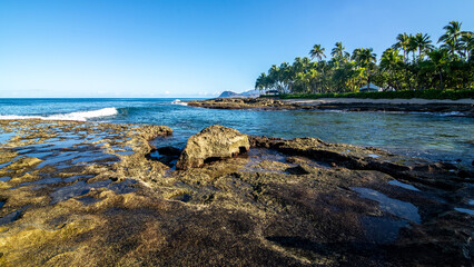beautiful blue sky and beach scenes on secret beach oahu hwaii