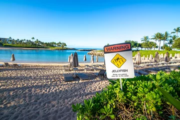 Fototapeten oahu hawaii secret beach lagoon near luxury resorts © digidreamgrafix