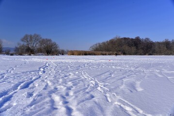 Fototapeta na wymiar River Mures in frozen on a sunny winter day