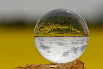Glassball - Rapsfeld