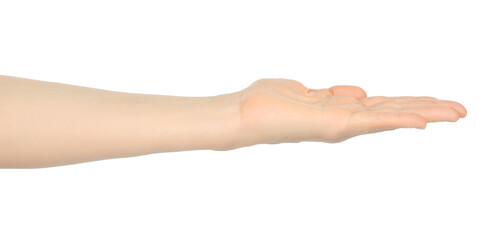 Fototapeta premium Woman hand shows virtual holding something, on white background