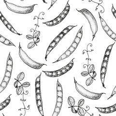 Green pea seamless pattern. Hand drawn background. Vector illustration. Hand drawing sketch illustration. Green pea vegetable hand drawn backdrop.