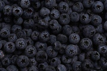 a heap of fresh ripe wet blueberries under water filling the frame, selective focus, top view, background
