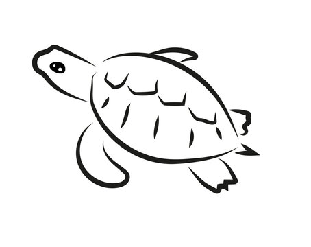 Żółw ilustracja