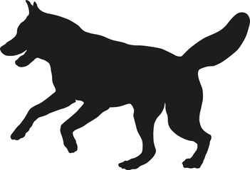 Running and jumping siberian husky puppy. Black dog silhouette. Pet animals. Isolated on a white background.