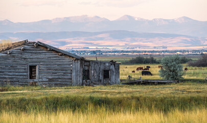 Classic Old Barn and Silos Landscape