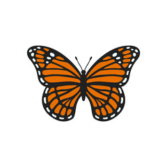 Fototapeta na wymiar Monarch butterfly illustration. Realistic butterfly with textured wings. Beautiful monarch for scrapbooking