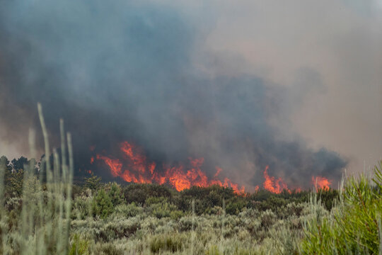 Inc&ecirc;ndio florestal que queima grandes quantidades de floresta com grandes labaredas que deixam uma enorme nuvem de fumo no ar