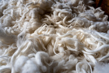Cotton lint after ginning. Raw, organic, natural, unbleached cotton fibers. Fluffy material ready to be spun. Background image with selective focus.