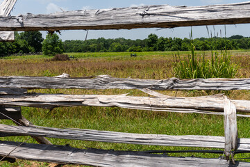 Fototapeta na wymiar Murfreesboro, Tennessee: Stones River National Battlefield. Battle of Stones River site, a key battle of the American Civil War. Split rail fence, cotton field, cannons along McFadden's Lane.