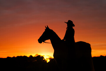 An equestrian sits on a horse in silhouette.