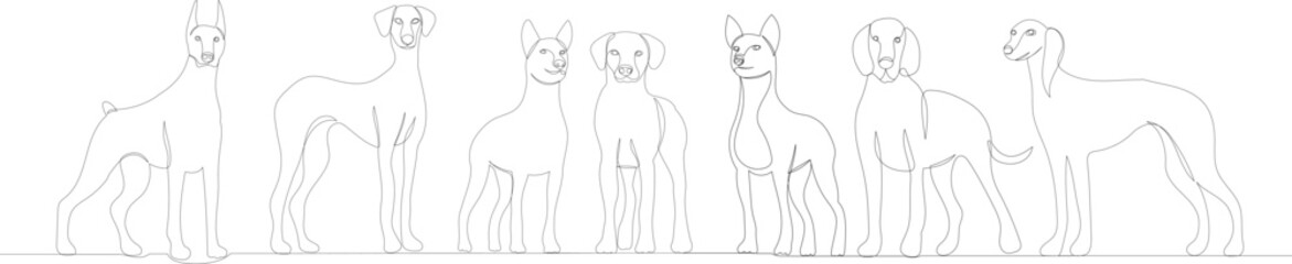 dogs sketch, one continuous line drawing, vector