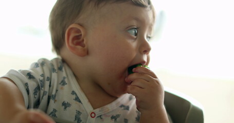 Baby eating broccoli vegetable on highchair