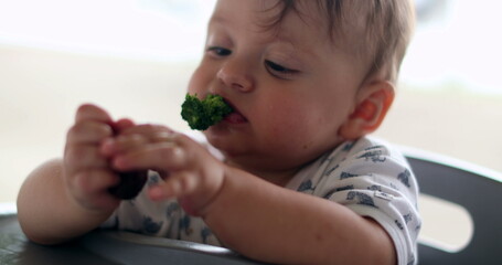 Baby eating broccoli and a piece of meat
