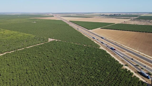 Almond Tree farm in central California