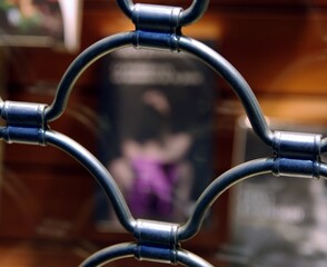 book in a shop window behind the burglar bar