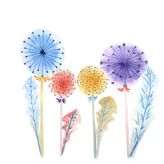 Watercolor bright dandelions on a white background. Isolates. Raster illustration works. It can be used on patterns, postcards, calendars.