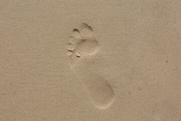 Fototapeta na wymiar Selective focus of one single footprints on the left hand side with free copy space, Human feet walked on very fine sand beach, Sand surface texture, Nature background.