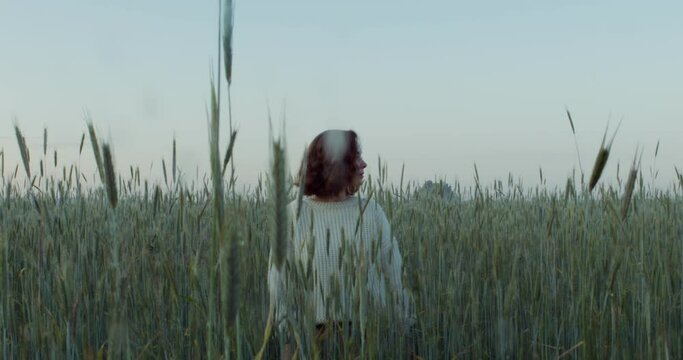 A romantic young woman of European appearance, dressed in a white sweater, stands among a wheat field looking around. Video in the evening, 4k, red komodo